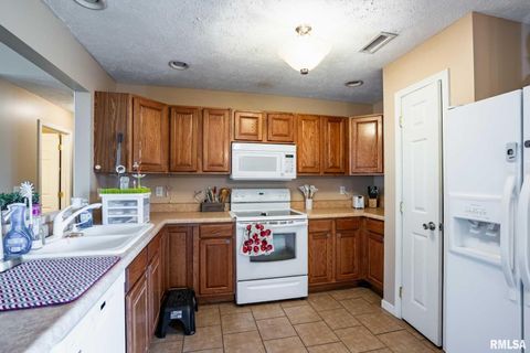 Tiny photo for 5626 Silver Fox Drive, Carterville, IL 62918 (MLS # QC4267195)