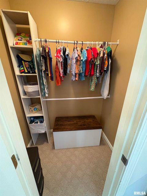 Tiny photo for 5626 Silver Fox Drive, Carterville, IL 62918 (MLS # QC4267195)