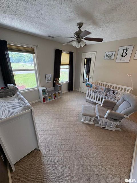 Tiny photo for 5626 Silver Fox Drive, Carterville, IL 62918 (MLS # QC4267195)