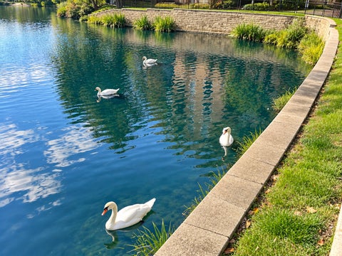 Tiny photo for 1761 Pavilion Way #308, Park Ridge, IL 60068 (MLS # 12769398)