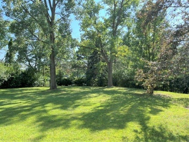1955 Zeppelin Drive