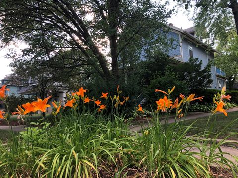 Tiny photo for Loves Park, IL 61111 (MLS # 12443520)