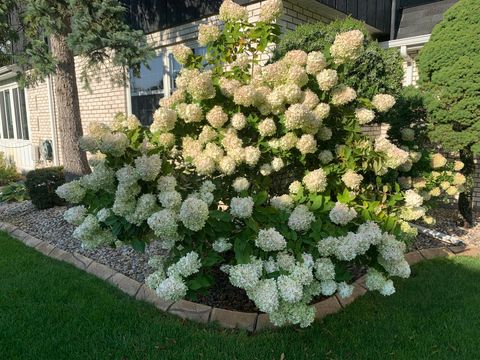 Tiny photo for 11216 85th Place, Willow Springs, IL 60480 (MLS # 12562961)