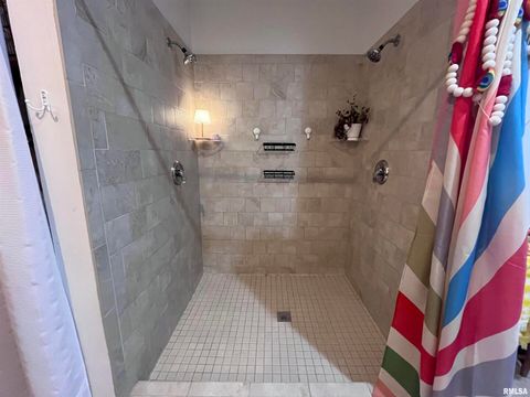 Tiny photo for 439 N HOWARD Street, Duquoin, IL 62832 (MLS # EB460261)