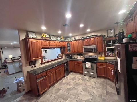 Tiny photo for 439 N HOWARD Street, Duquoin, IL 62832 (MLS # EB460261)