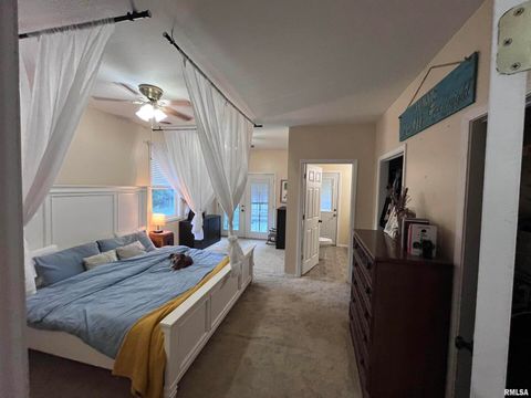 Tiny photo for 439 N HOWARD Street, Duquoin, IL 62832 (MLS # EB460261)