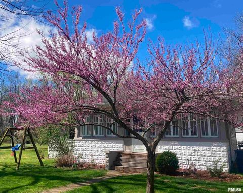 Photo of 439 N HOWARD Street, Duquoin, IL 62832 (MLS # EB460261)