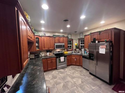 Tiny photo for 439 N HOWARD Street, Duquoin, IL 62832 (MLS # EB460261)