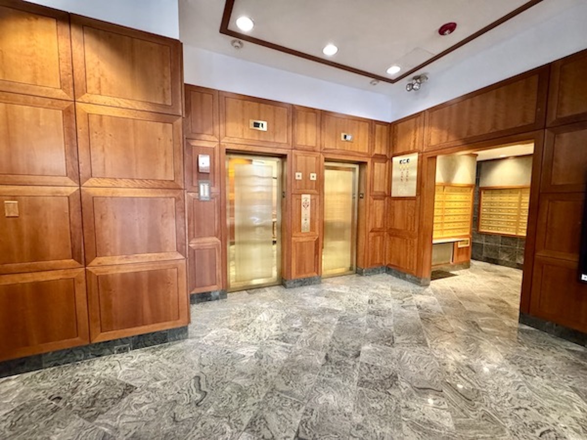 100 E Walton Street 35E