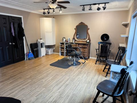 Tiny photo for 385 Toledo Cemetery Road, Cobden, IL 62920 (MLS # 12549851)