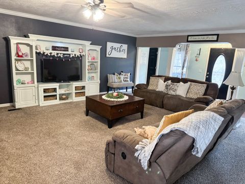 Tiny photo for 385 Toledo Cemetery Road, Cobden, IL 62920 (MLS # 12549851)