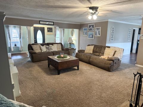 Tiny photo for 385 Toledo Cemetery Road, Cobden, IL 62920 (MLS # 12549851)