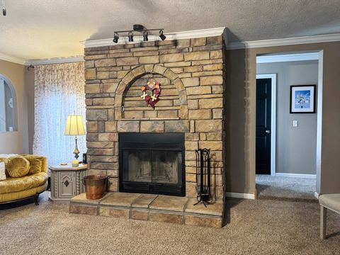 Tiny photo for 385 Toledo Cemetery Road, Cobden, IL 62920 (MLS # 12549851)