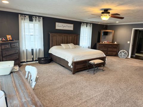 Tiny photo for 385 Toledo Cemetery Road, Cobden, IL 62920 (MLS # 12549851)