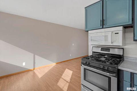 Tiny photo for 412 W 29TH Avenue, Milan, IL 61264 (MLS # QC4269138)