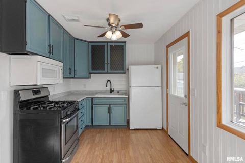 Tiny photo for 412 W 29TH Avenue, Milan, IL 61264 (MLS # QC4269138)