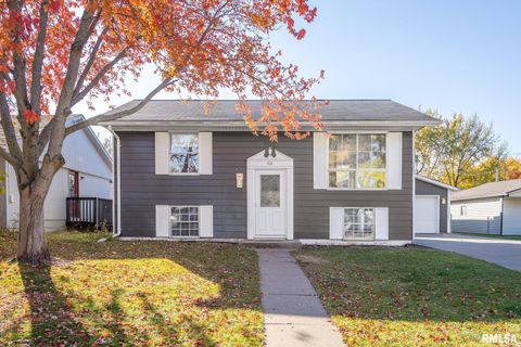 Photo of 412 W 29TH Avenue, Milan, IL 61264 (MLS # QC4269138)