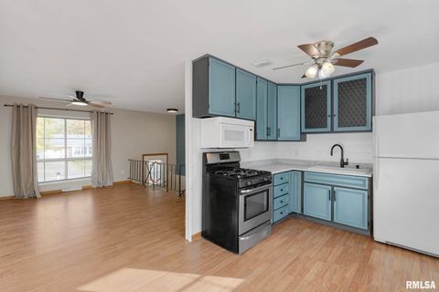 Tiny photo for 412 W 29TH Avenue, Milan, IL 61264 (MLS # QC4269138)