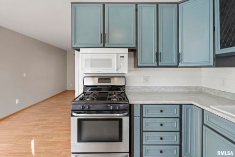 Tiny photo for 412 W 29TH Avenue, Milan, IL 61264 (MLS # QC4269138)