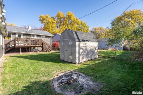Tiny photo for 412 W 29TH Avenue, Milan, IL 61264 (MLS # QC4269138)
