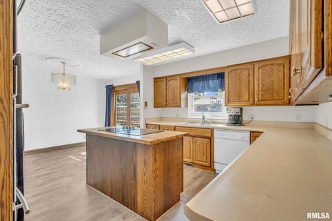 Tiny photo for 107 HILLTOP Street, Colona, IL 61241 (MLS # QC4269336)