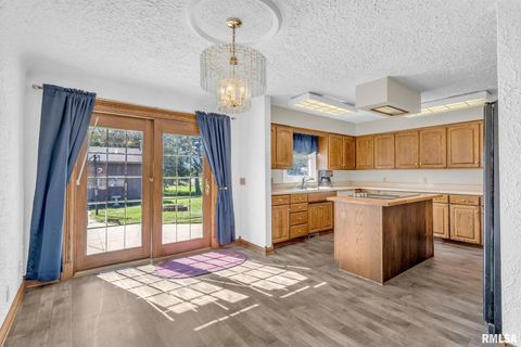 Tiny photo for 107 HILLTOP Street, Colona, IL 61241 (MLS # QC4269336)