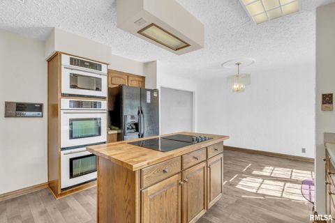 Tiny photo for 107 HILLTOP Street, Colona, IL 61241 (MLS # QC4269336)