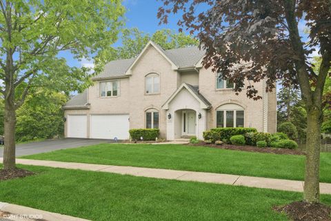 1580 W North Street Palatine IL 60067