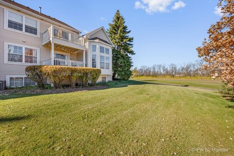 Tiny photo for 2731 Old Woods Trail, Plainfield, IL 60586 (MLS # 12528218)