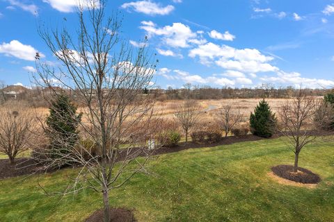 Tiny photo for 10658 Revere Circle, Mokena, IL 60448 (MLS # 12524260)