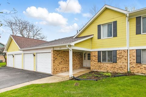 317 Memory Lane 4-1 Westmont IL 60559