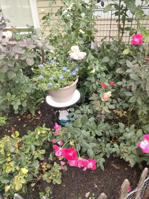 Tiny photo for 1072 Cedar Crest Drive, Crystal Lake, IL 60014 (MLS # 12591810)