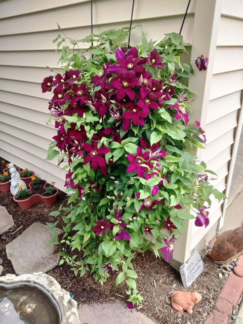 Tiny photo for 1072 Cedar Crest Drive, Crystal Lake, IL 60014 (MLS # 12591810)