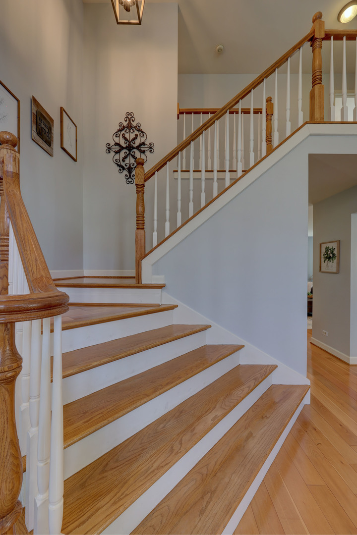 411 Belmont Lane