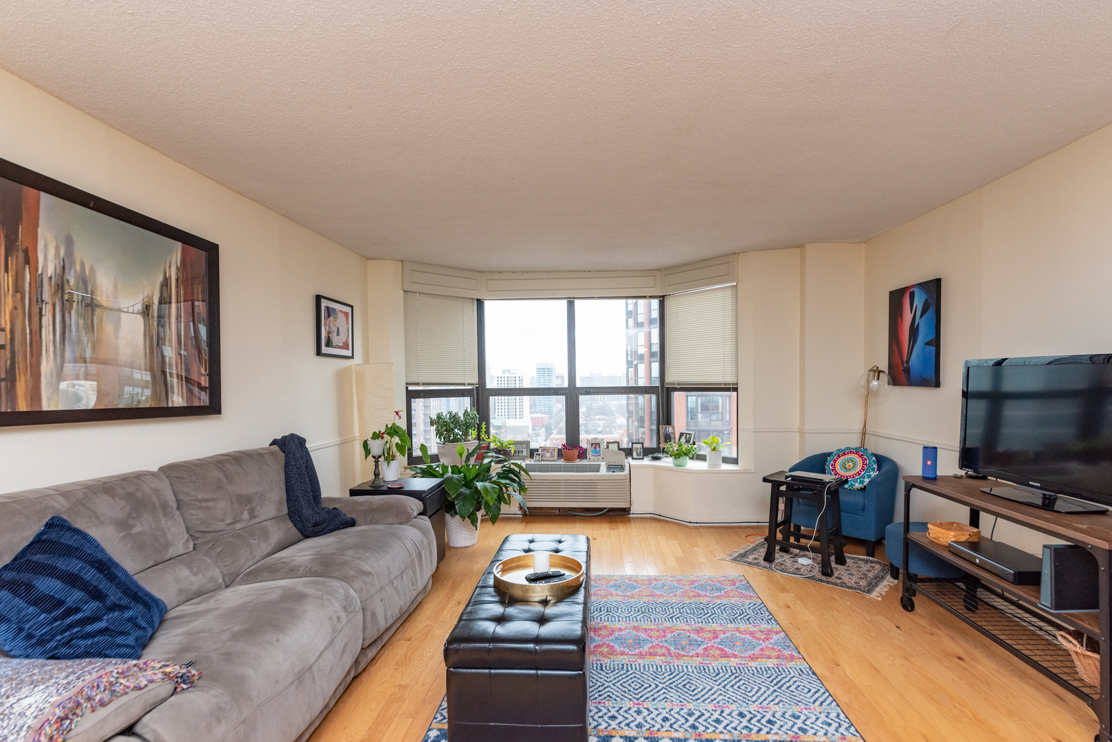899 S PLYMOUTH Court 1705