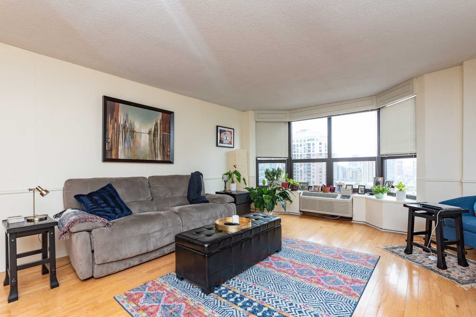 899 S PLYMOUTH Court 1705