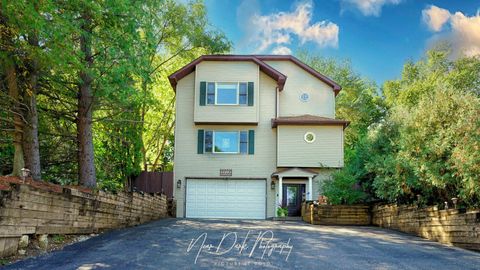 127 E GRAND Avenue Fox Lake IL 60020