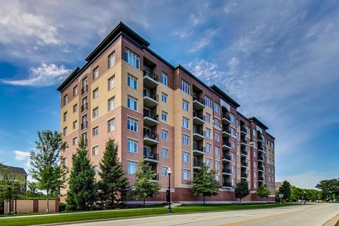 1199 E Port Clinton Road 701 Vernon Hills IL 60061