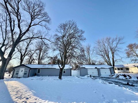 Photo of 106 E BEESON Street, Joy, IL 61260 (MLS # QC4269818)