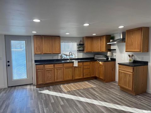 Tiny photo for 106 E BEESON Street, Joy, IL 61260 (MLS # QC4269818)