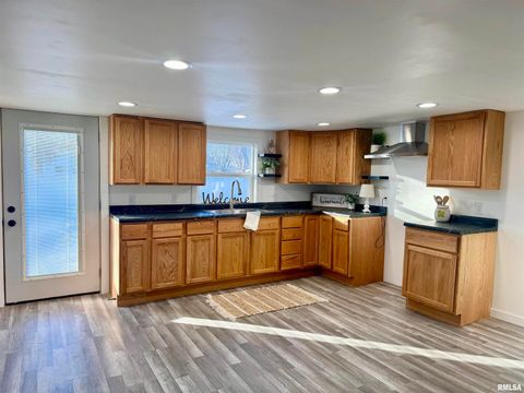 Tiny photo for 106 E BEESON Street, Joy, IL 61260 (MLS # QC4269818)