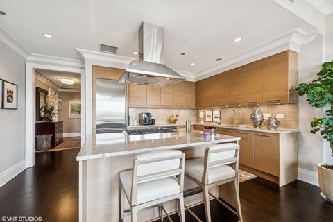 Tiny photo for 2550 N Lakeview Avenue #N602, Chicago, IL 60614 (MLS # 12476278)