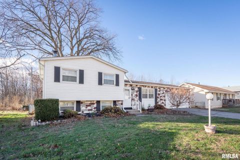 Tiny photo for 827 9TH Street, Colona, IL 61241 (MLS # QC4269641)