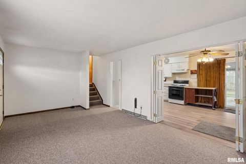 Tiny photo for 827 9TH Street, Colona, IL 61241 (MLS # QC4269641)