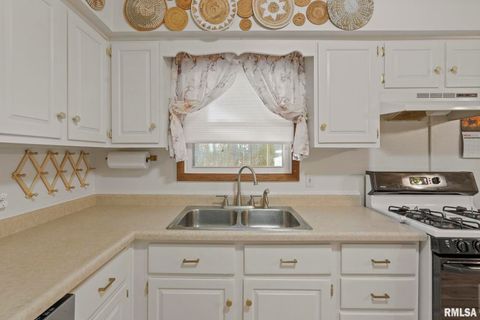 Tiny photo for 827 9TH Street, Colona, IL 61241 (MLS # QC4269641)