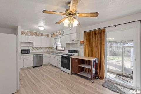 Tiny photo for 827 9TH Street, Colona, IL 61241 (MLS # QC4269641)