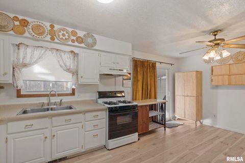 Tiny photo for 827 9TH Street, Colona, IL 61241 (MLS # QC4269641)