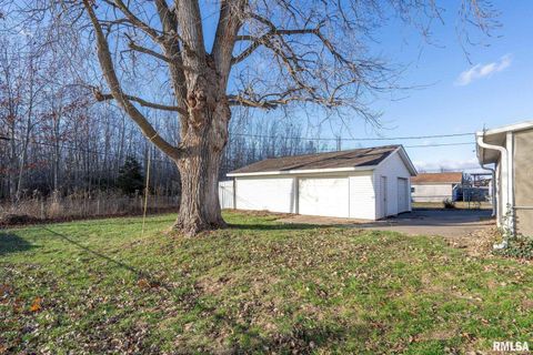 Tiny photo for 827 9TH Street, Colona, IL 61241 (MLS # QC4269641)