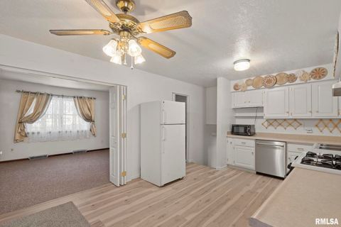 Tiny photo for 827 9TH Street, Colona, IL 61241 (MLS # QC4269641)