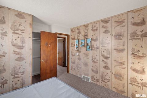 Tiny photo for 827 9TH Street, Colona, IL 61241 (MLS # QC4269641)